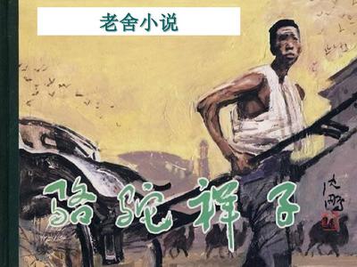茄子香草丝瓜草莓榴莲